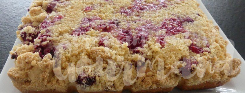 Crumb cake pommes framboises P1090283.psd R (Copy)