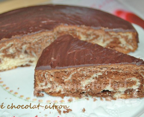 Marbré chocolat-citron - DSC_4206_1783 (Copy)
