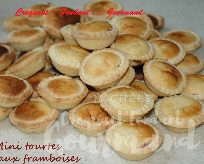 Mini tourtes aux framboises - septembre 2008 013 copie (Copy).jpg R