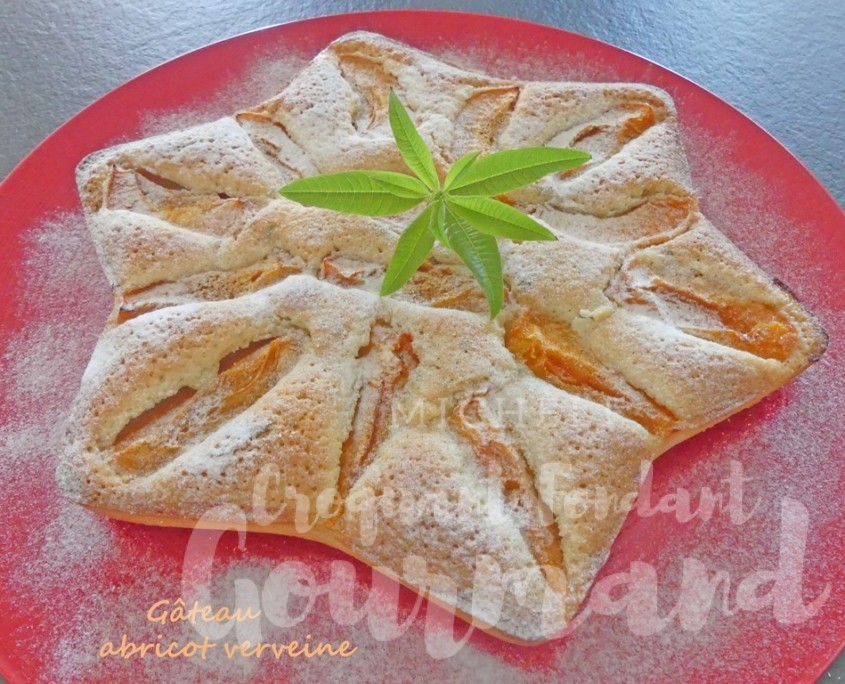 Gâteau abricot verveine P1110357.jpg R (Copy)