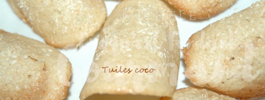 Tuiles coco - DSC_2803_10961.jpg R (Copy)