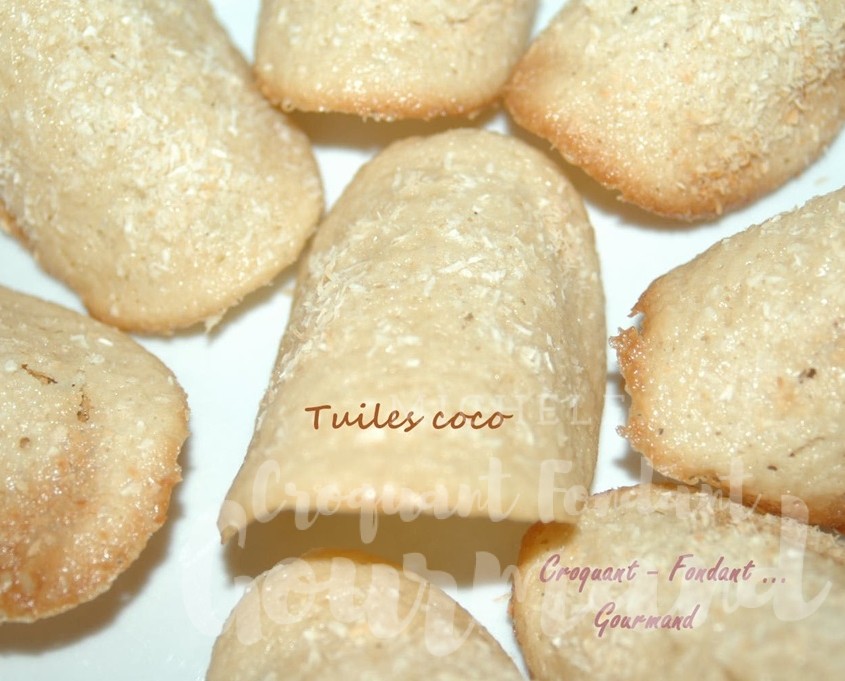 Tuiles coco - DSC_2803_10961.jpg R (Copy)