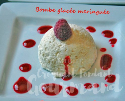 Bombe-glacée-meringuée-avril-2009-188-copie-1024x680 (Copy).jpg R