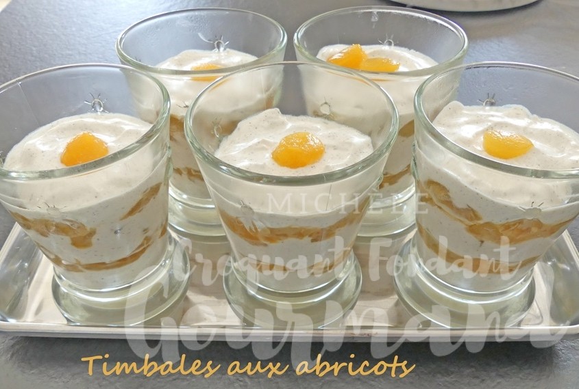 Timbales aux abricots P1110827.jpg R (Copy)