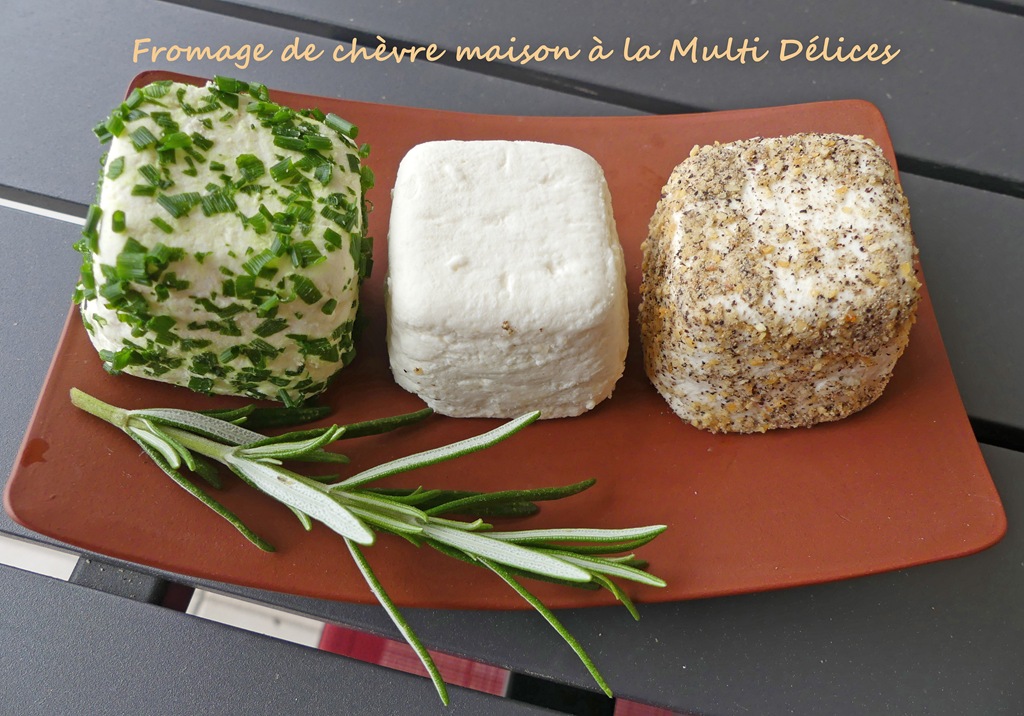 Fromage de chèvre maison à la Multi Délices * - Croquant Fondant Gourmand