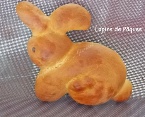 Lapins de Pâques DSCN5119_25108 (Copy).jpgr